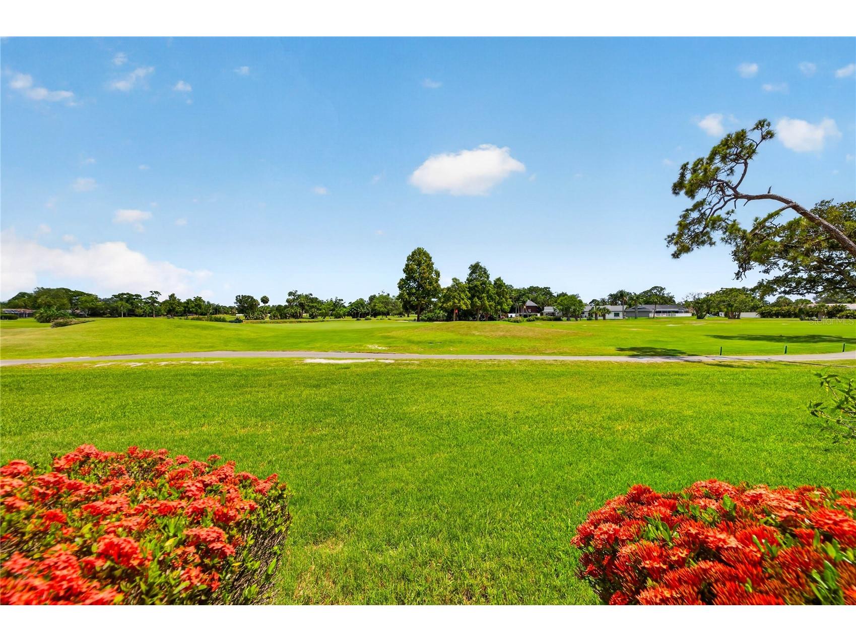 9050 Park Boulevard #7 Seminole FL 33777 TB8517997 image27