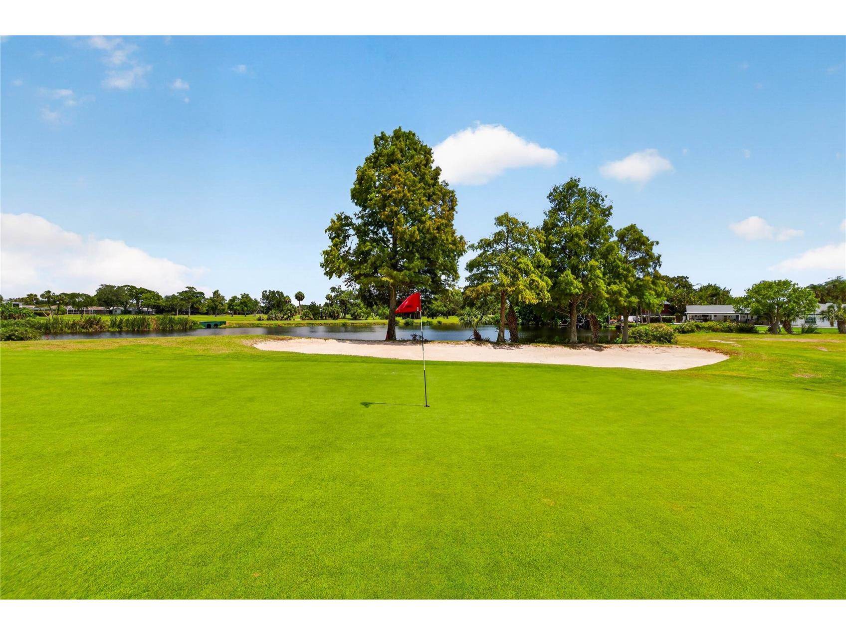 9050 Park Boulevard #7 Seminole FL 33777 TB8517997 image28