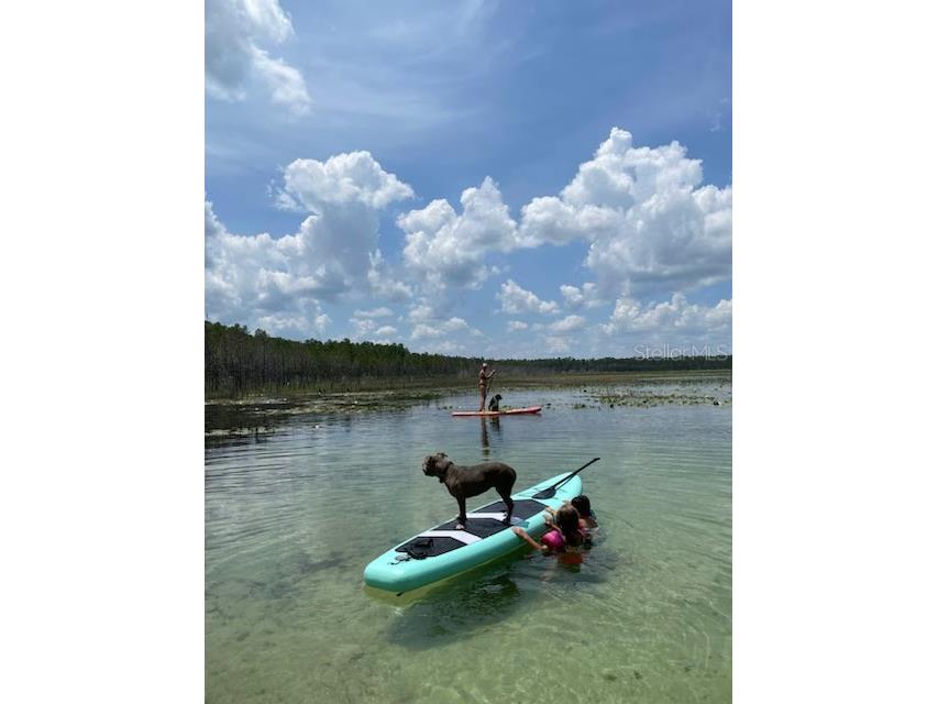 9050 SE 196th Terrace Ocklawaha FL 32179 OM727707 image42