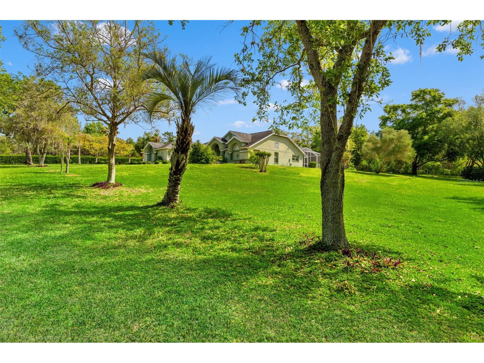 9050 Weeping Willow Street Brooksville FL 34613 TB8501749 image41
