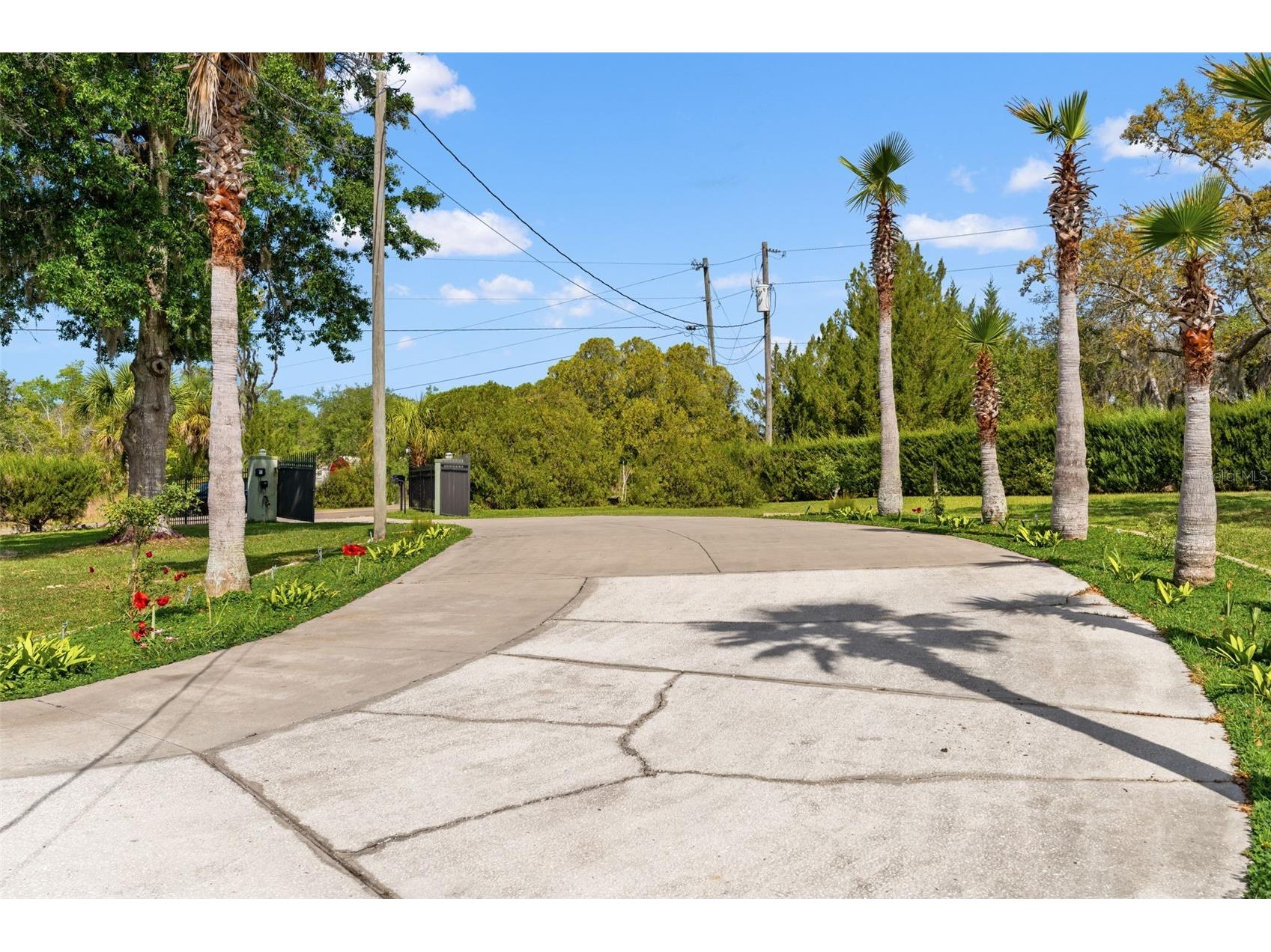 9050 Weeping Willow Street Brooksville FL 34613 TB8501749 image47
