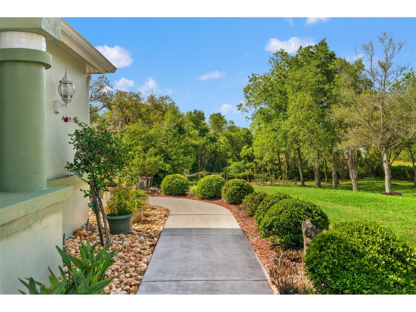 9050 Weeping Willow Street Brooksville FL 34613 TB8501749 image48