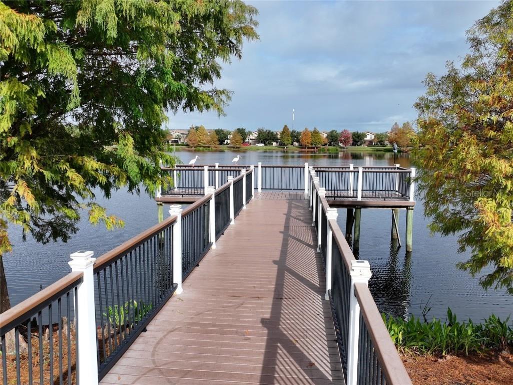 9054 Rhodes Street Kissimmee FL 34747 O6367887 image30