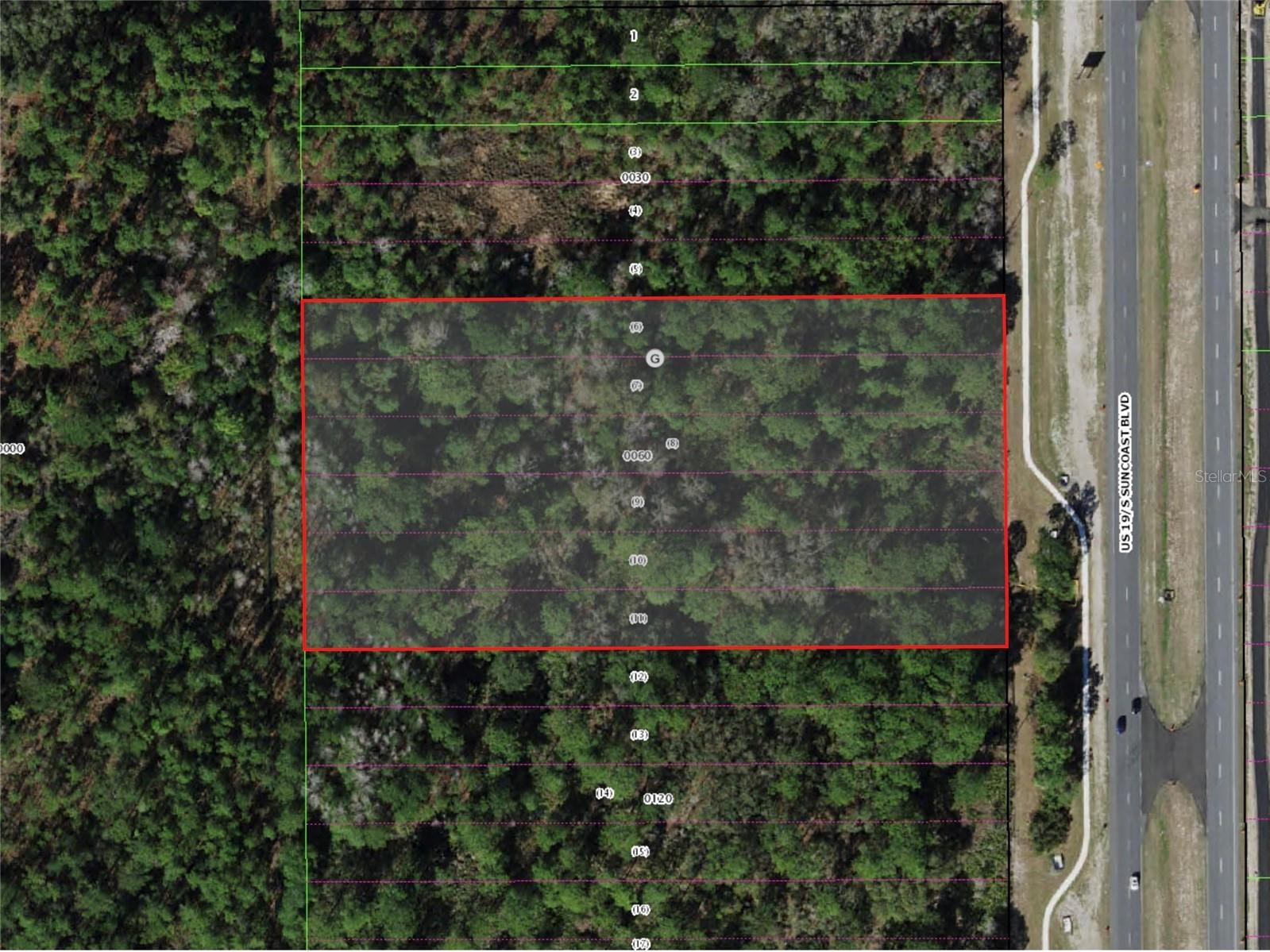 9054 S Suncoast Boulevard Homosassa FL 34446 TB8509662 image2