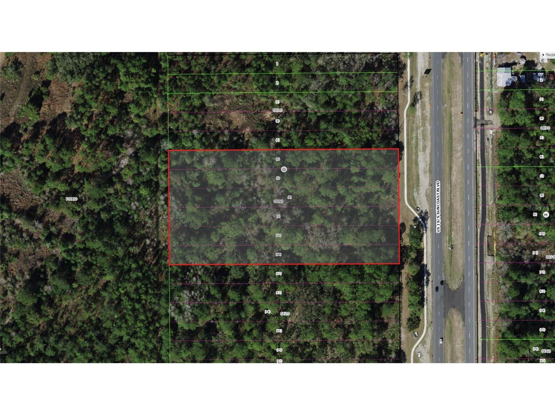 9054 S Suncoast Boulevard Homosassa FL 34446 TB8509662 image20