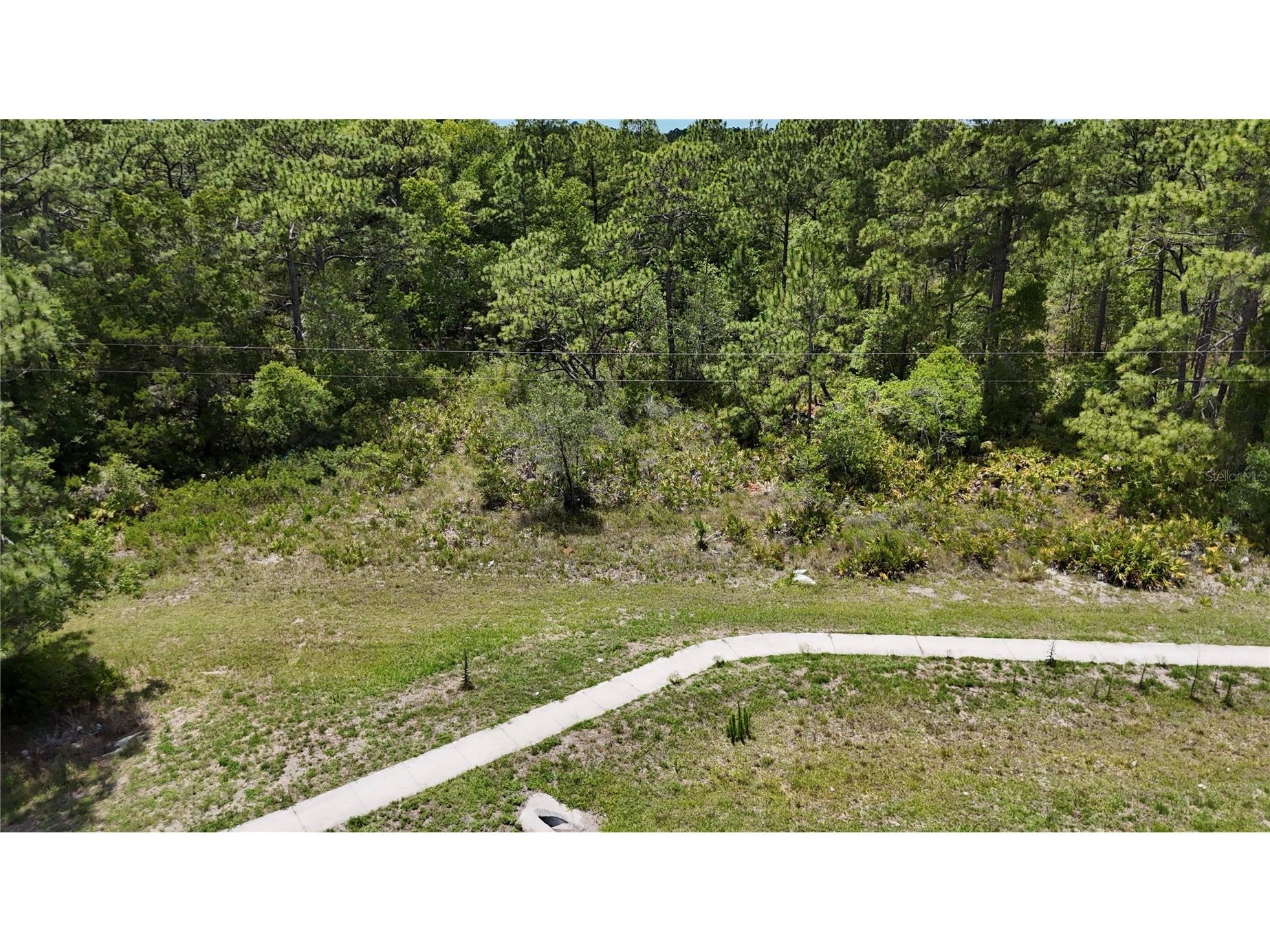 9054 S Suncoast Boulevard Homosassa FL 34446 TB8509662 image3