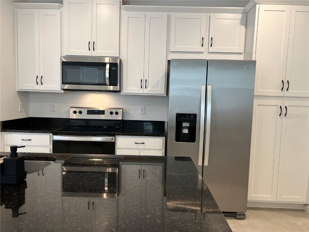 9055 Beach Tea Way Kissimmee FL 34747 O6366053 image3