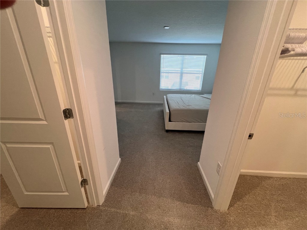 9055 Beach Tea Way Kissimmee FL 34747 O6366053 image30