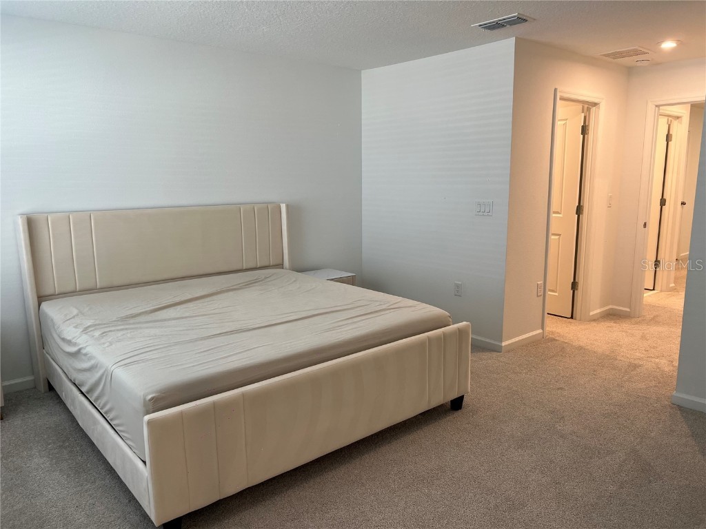 9055 Beach Tea Way Kissimmee FL 34747 O6366053 image31