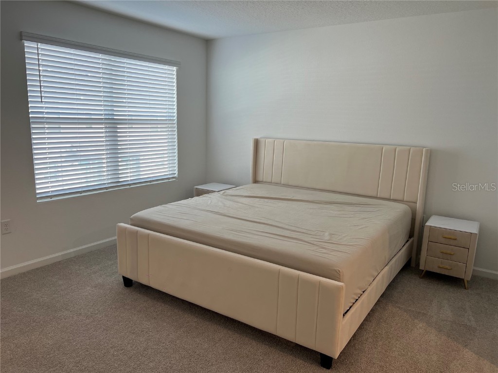 9055 Beach Tea Way Kissimmee FL 34747 O6366053 image32