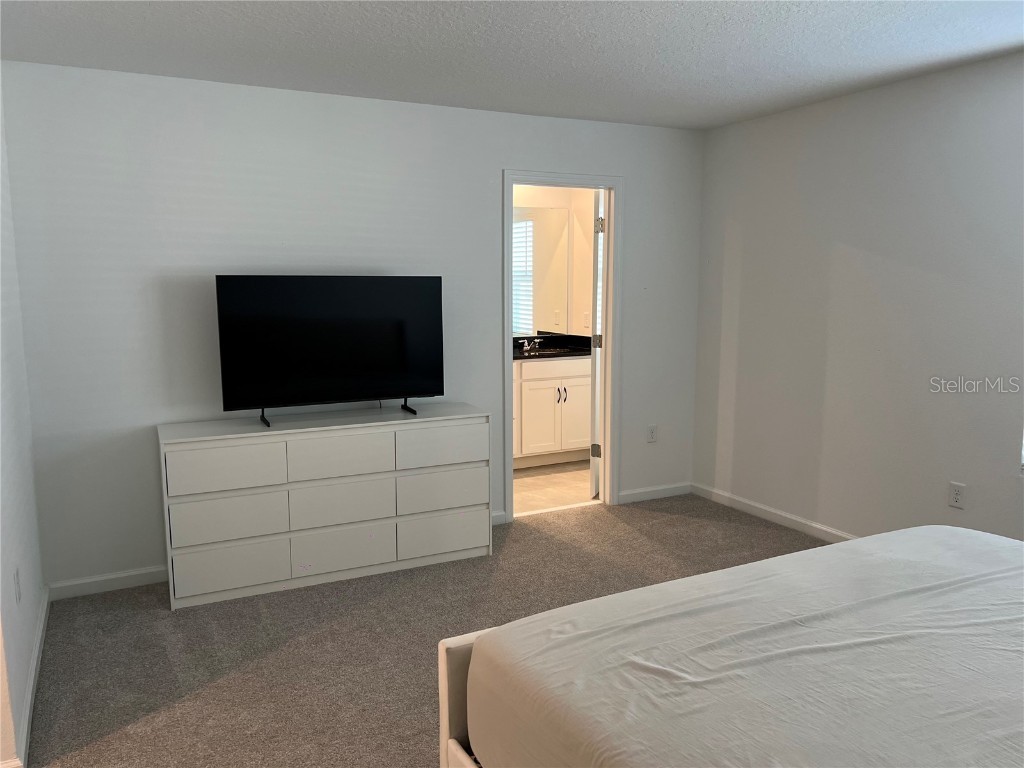 9055 Beach Tea Way Kissimmee FL 34747 O6366053 image34