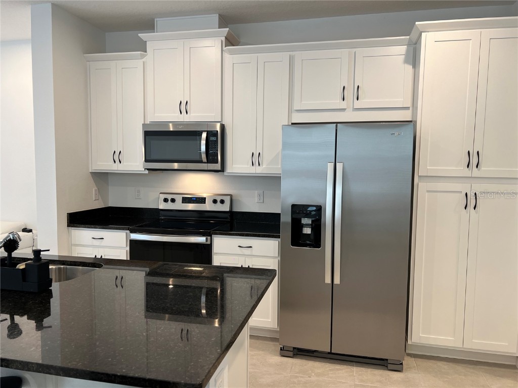 9055 Beach Tea Way Kissimmee FL 34747 O6366053 image4