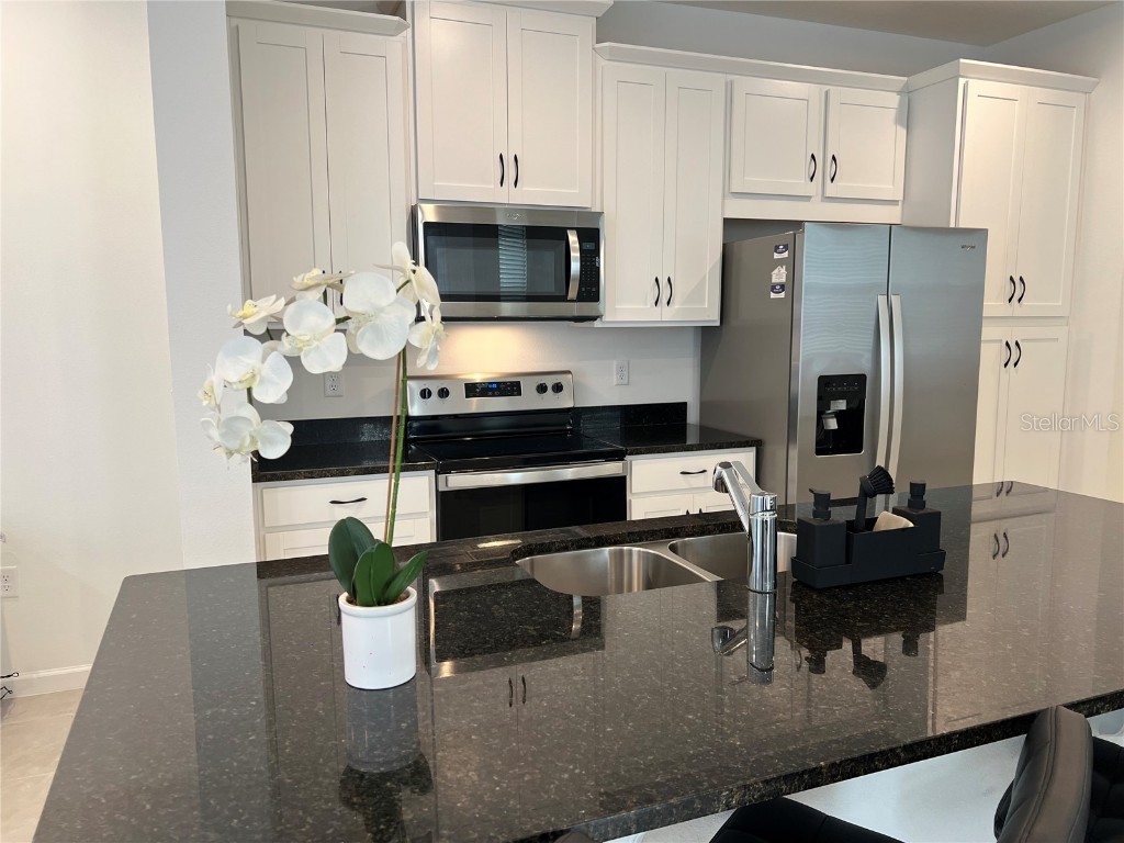 9055 Beach Tea Way Kissimmee FL 34747 O6366053 image5