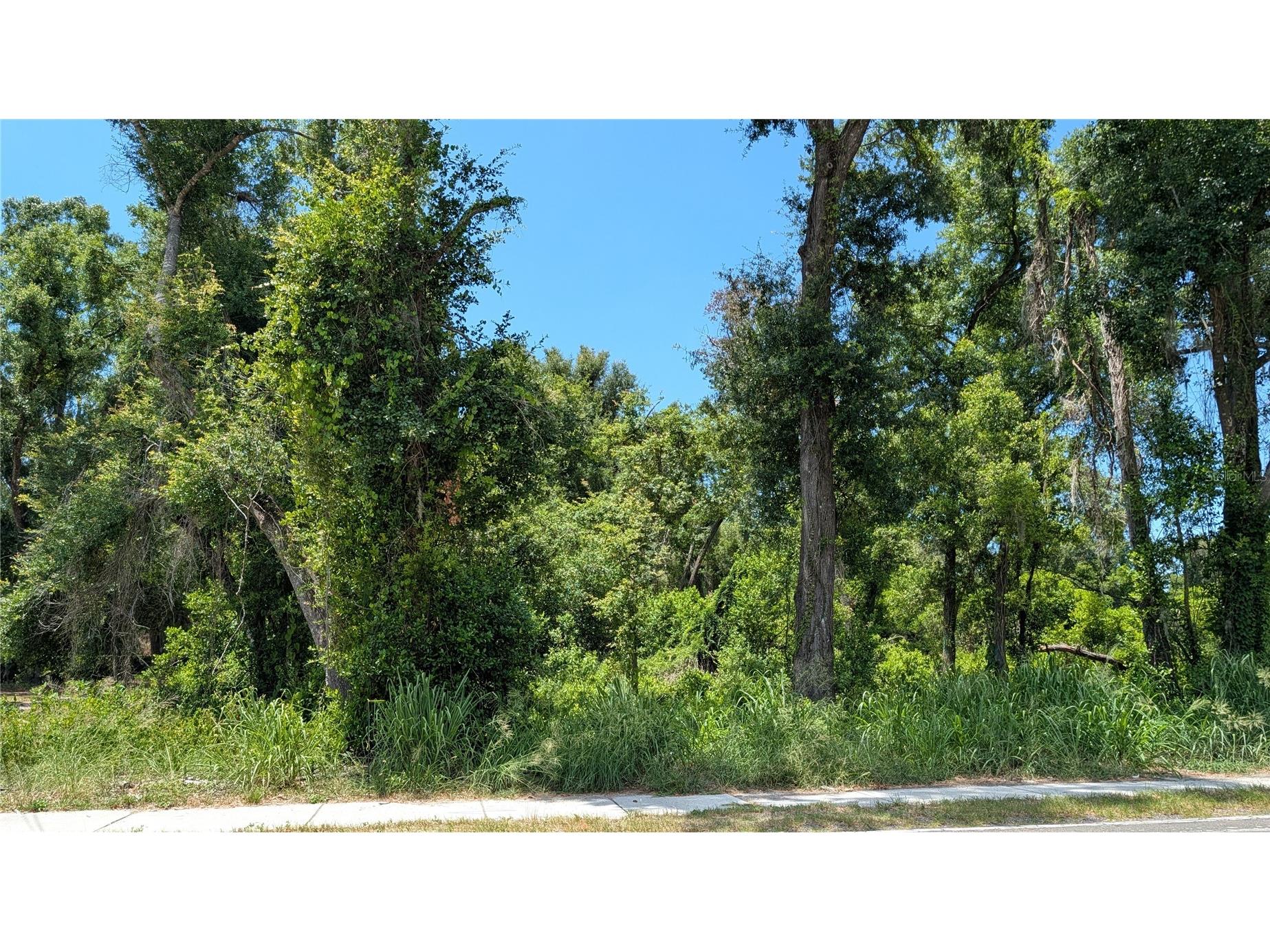 9505 Joe Ebert Road Seffner FL 33584 TB8522943 image1