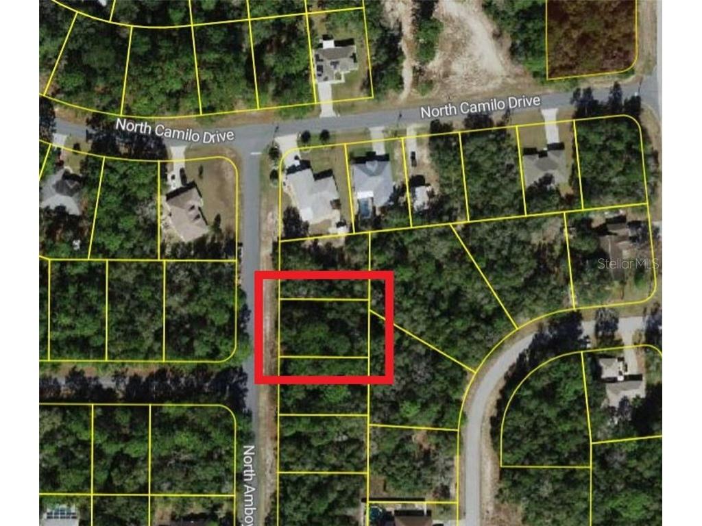 9055 N Amboy Drive Citrus Springs FL 34433 O6294410 image1