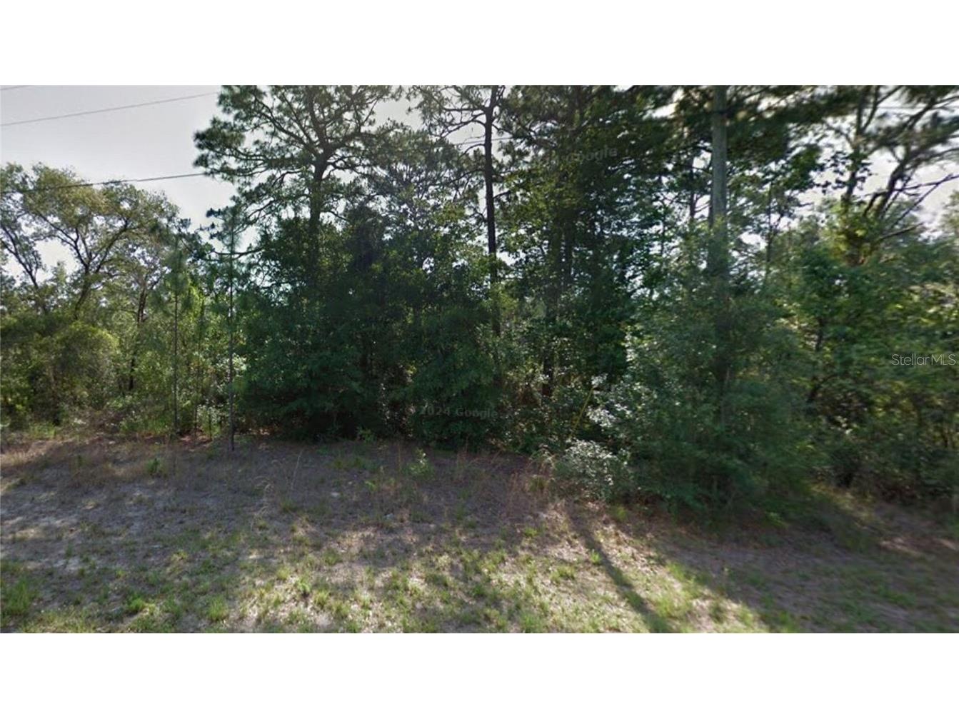 9055 N Amboy Drive Citrus Springs FL 34433 O6294410 image3