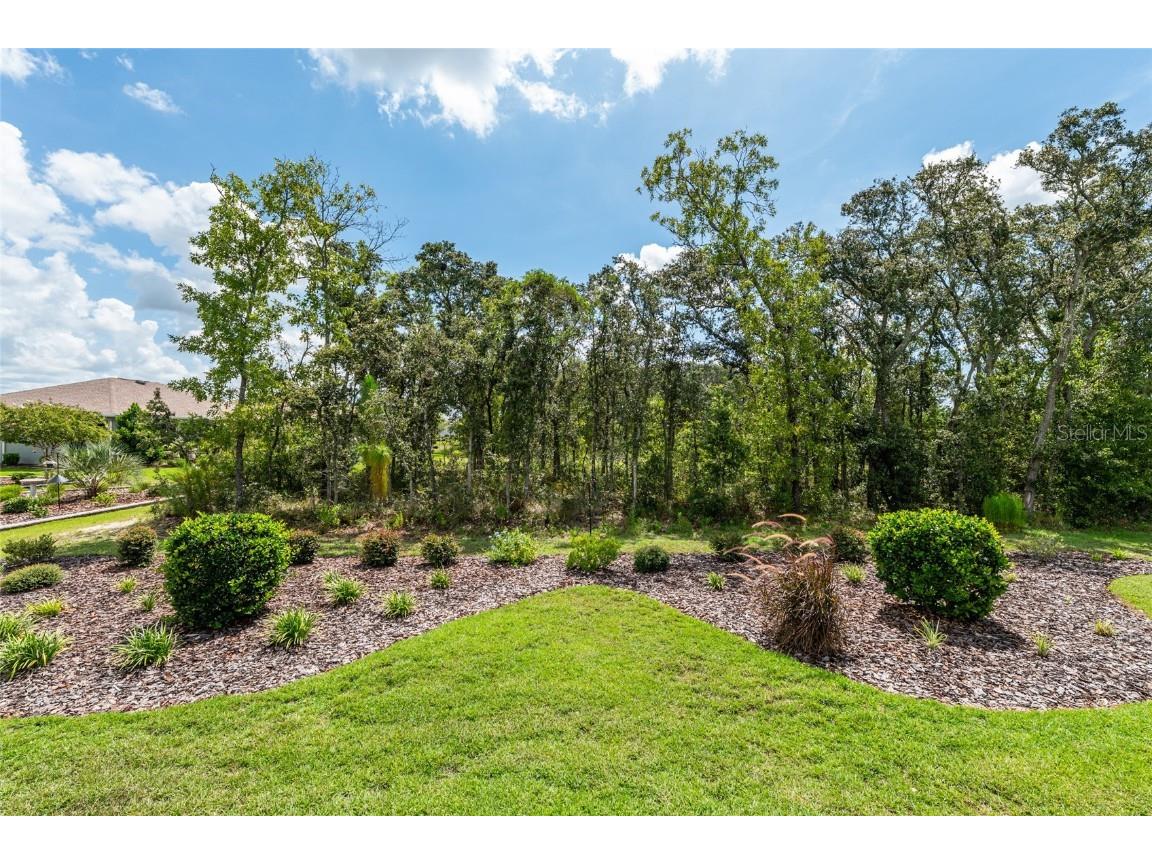 9055 SW 106th Avenue Ocala FL 34481 OM707165 image77