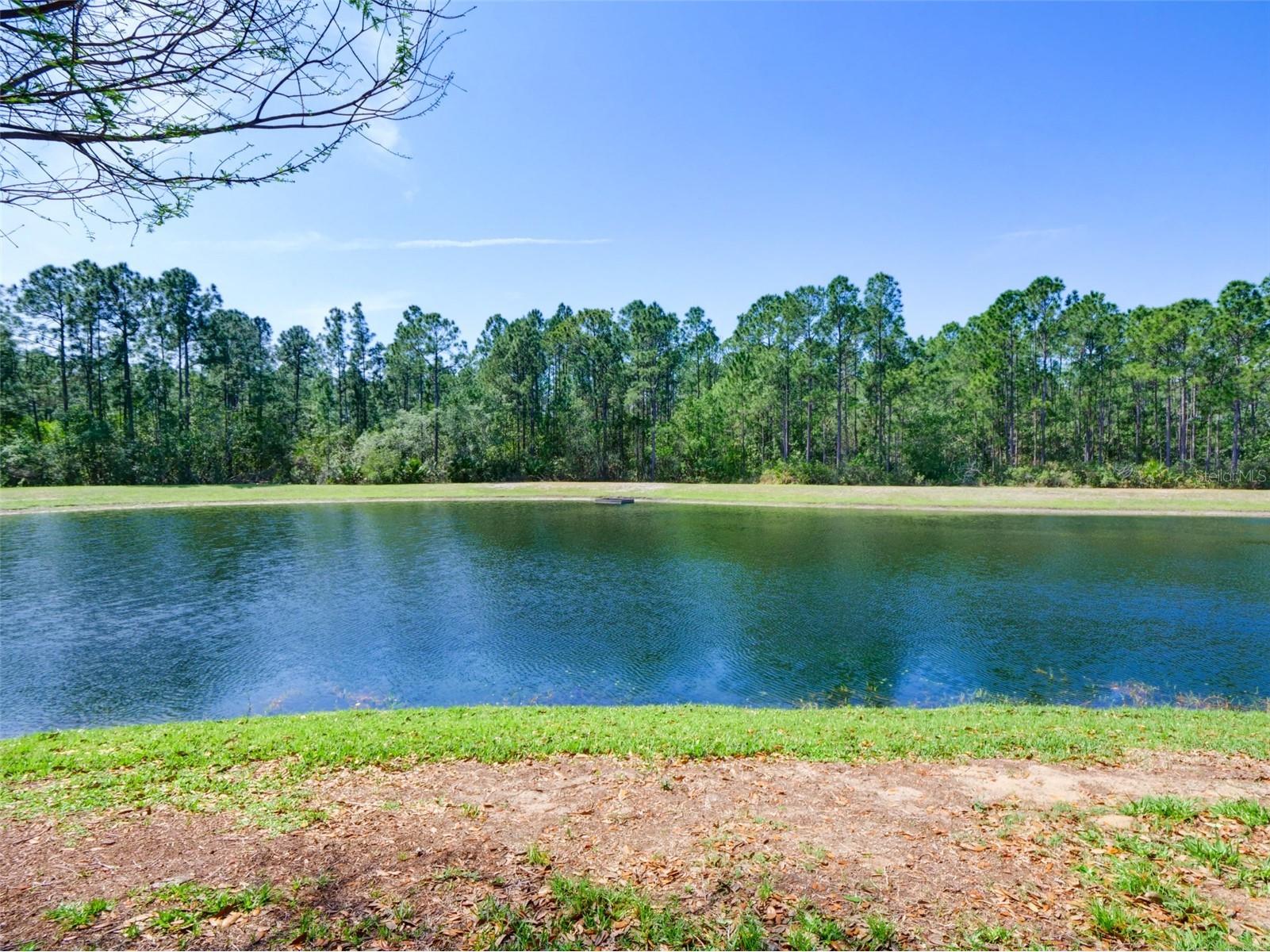 9055 Treasure Trove Lane #101 Kissimmee FL 34747 O6394451 image27