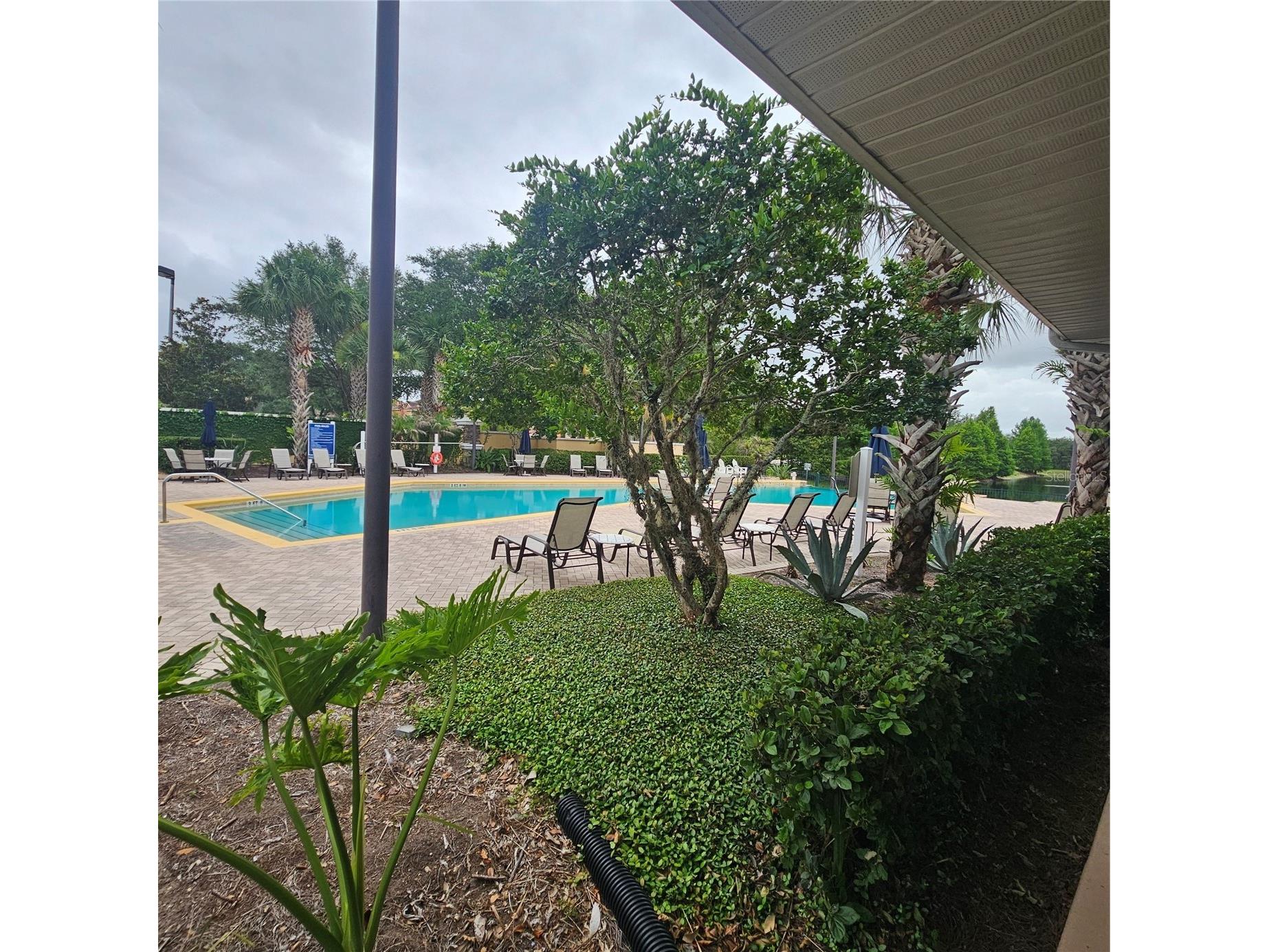 9055 Treasure Trove Lane #201 Kissimmee FL 34747 O6413536 image9