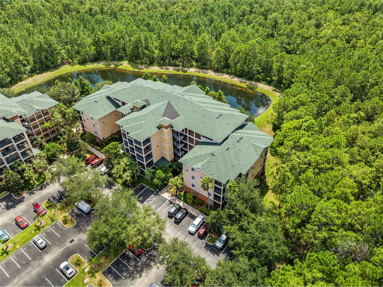 9055 Treasure Trove Lane #209 Kissimmee FL 34747 O6336868 image1