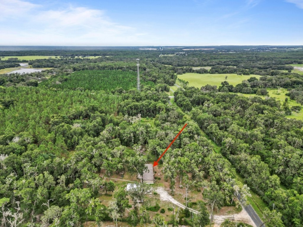 9056 Rosco Trail Brooksville FL 34602 TB8422558 image22