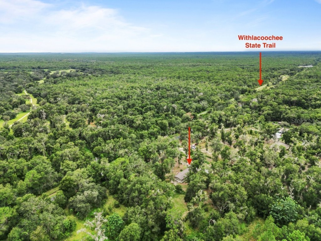 9056 Rosco Trail Brooksville FL 34602 TB8422558 image6