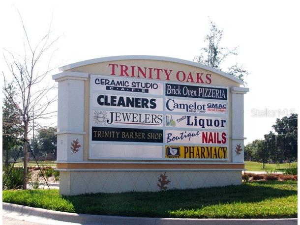 9058 Arundle Place New Port Richey FL 34655 W7885245 image50