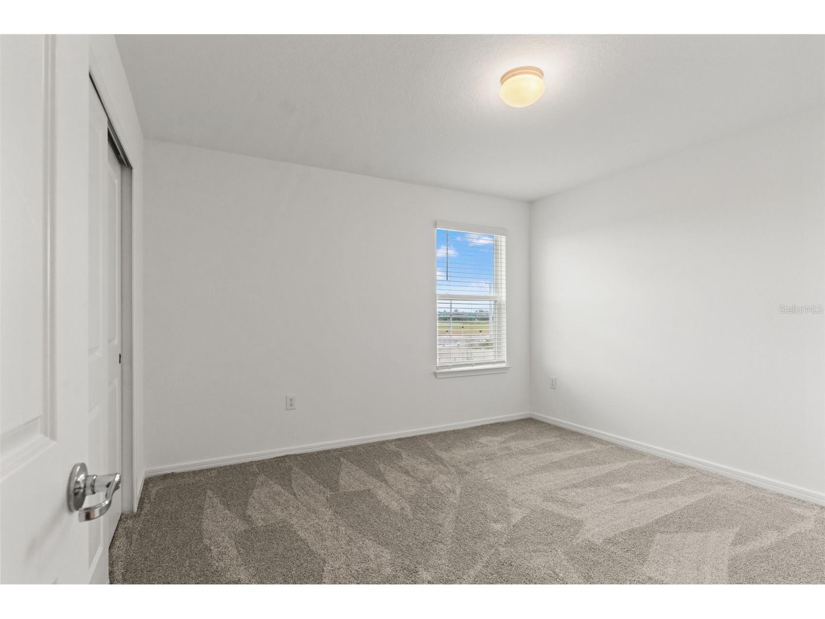 9058 Rally Spring Loop Wesley Chapel FL 33545 TB8504546 image34