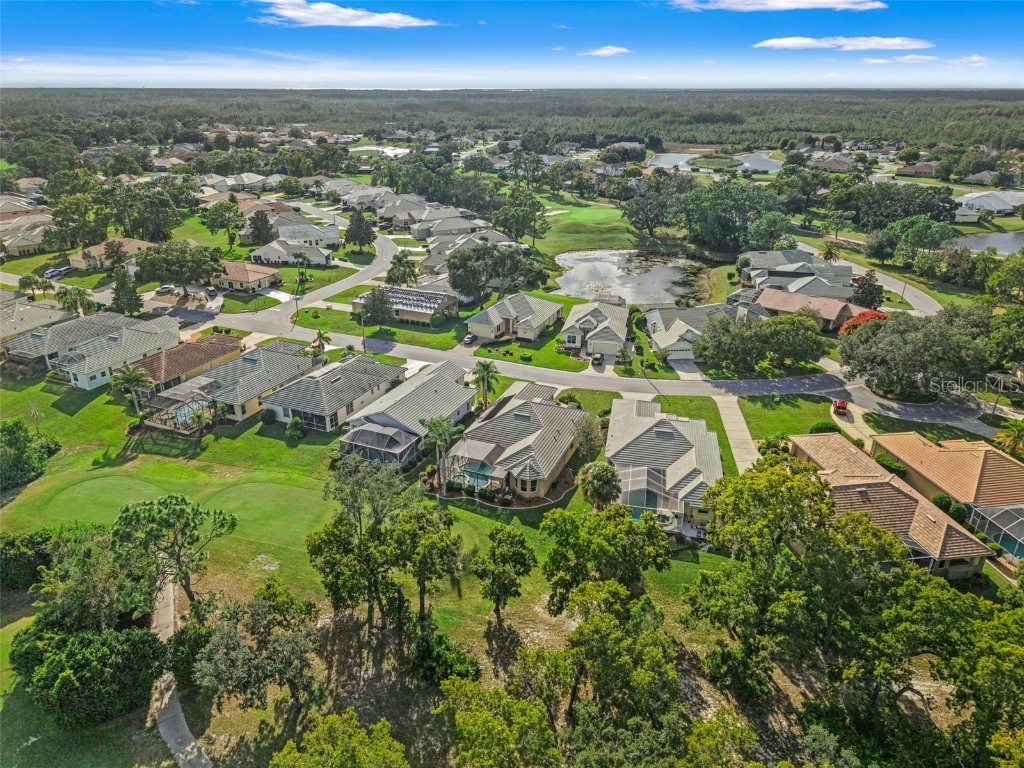 9059 Penelope Drive Weeki Wachee FL 34613 TB8436551 image41