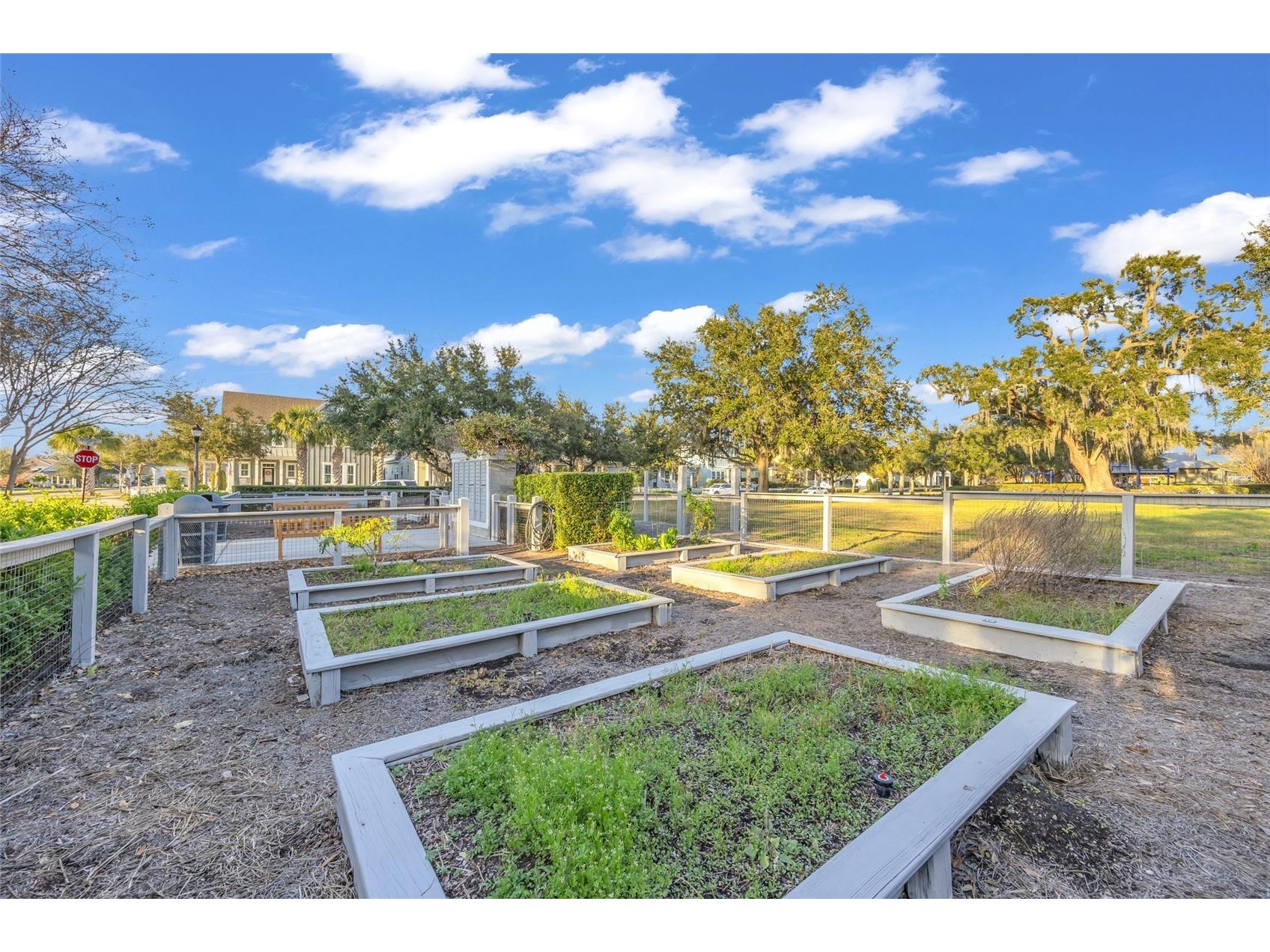 906 Allendale Lane Winter Garden FL 34787 G5107489 image59