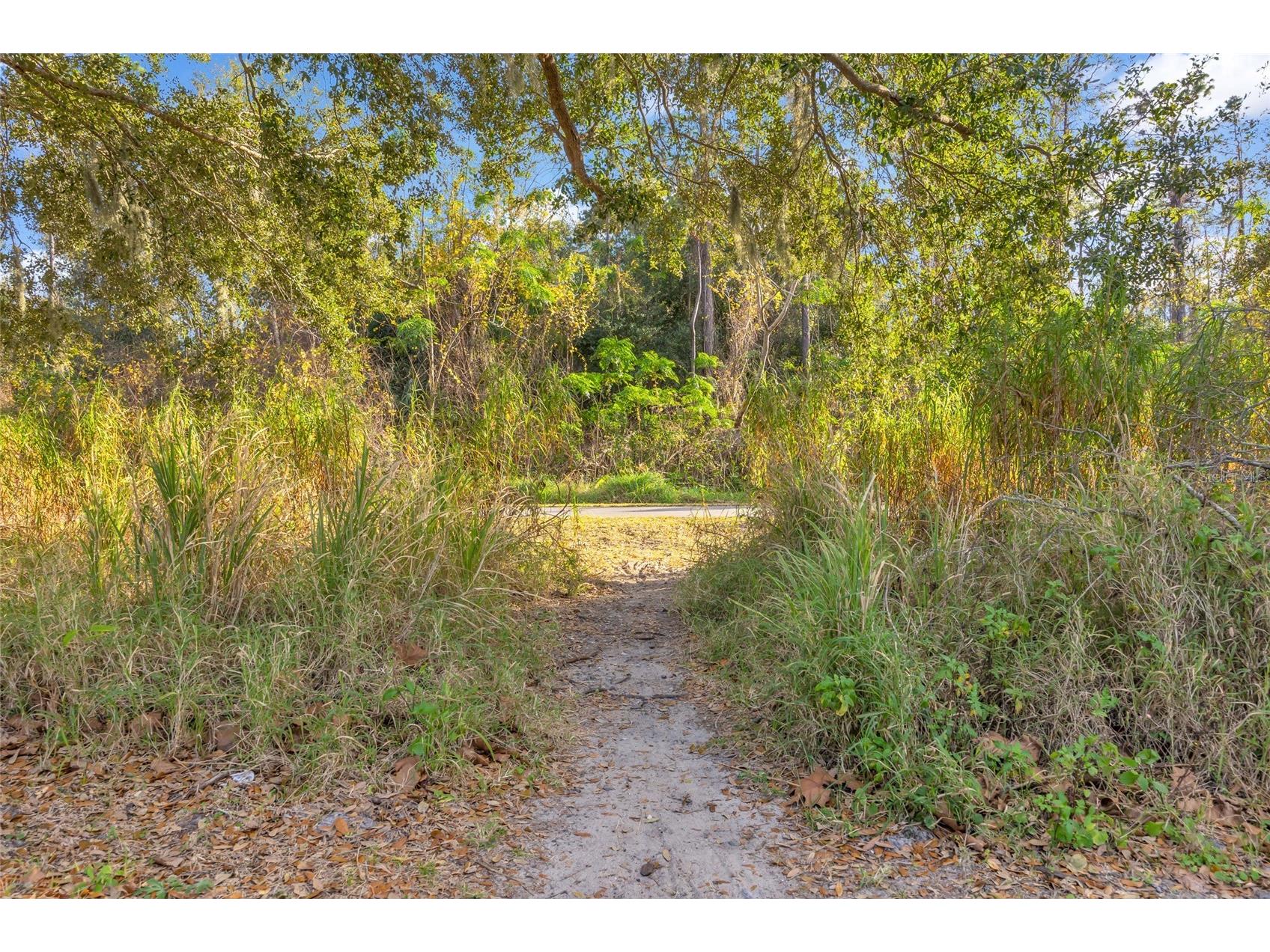 906 Allendale Lane Winter Garden FL 34787 G5107489 image61