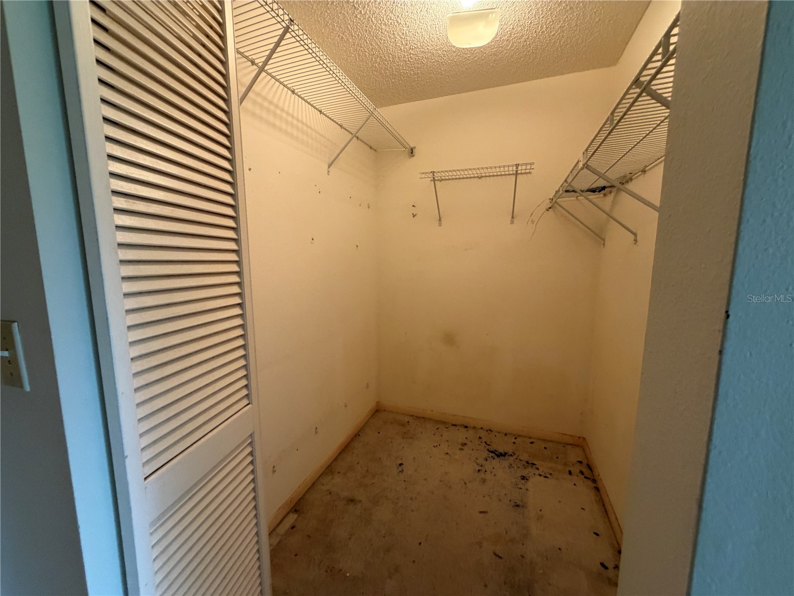 906 Bird Bay Way #216 Venice FL 34285 N6144595 image29