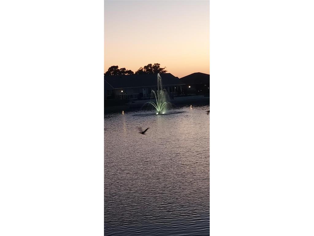 906 Bluewater Drive Sun City Center FL 33573 O6357633 image5