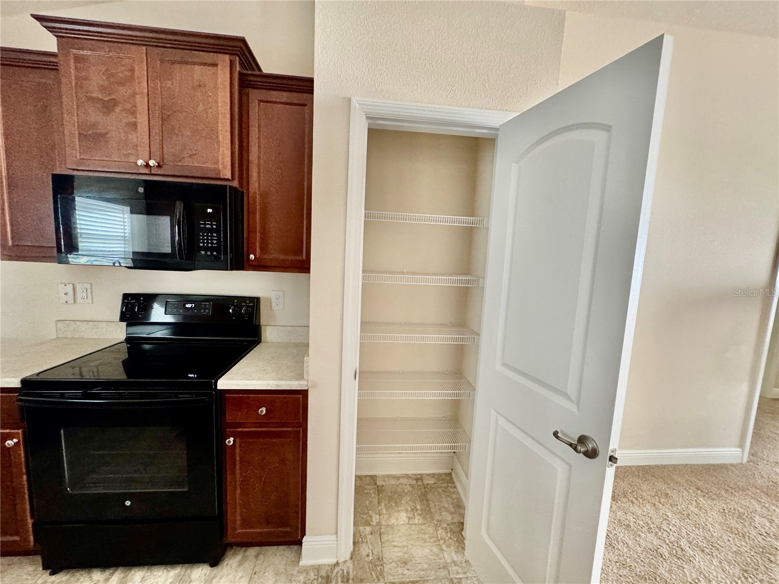906 Chestnut Drive Fruitland Park FL 34731 G5112071 image34