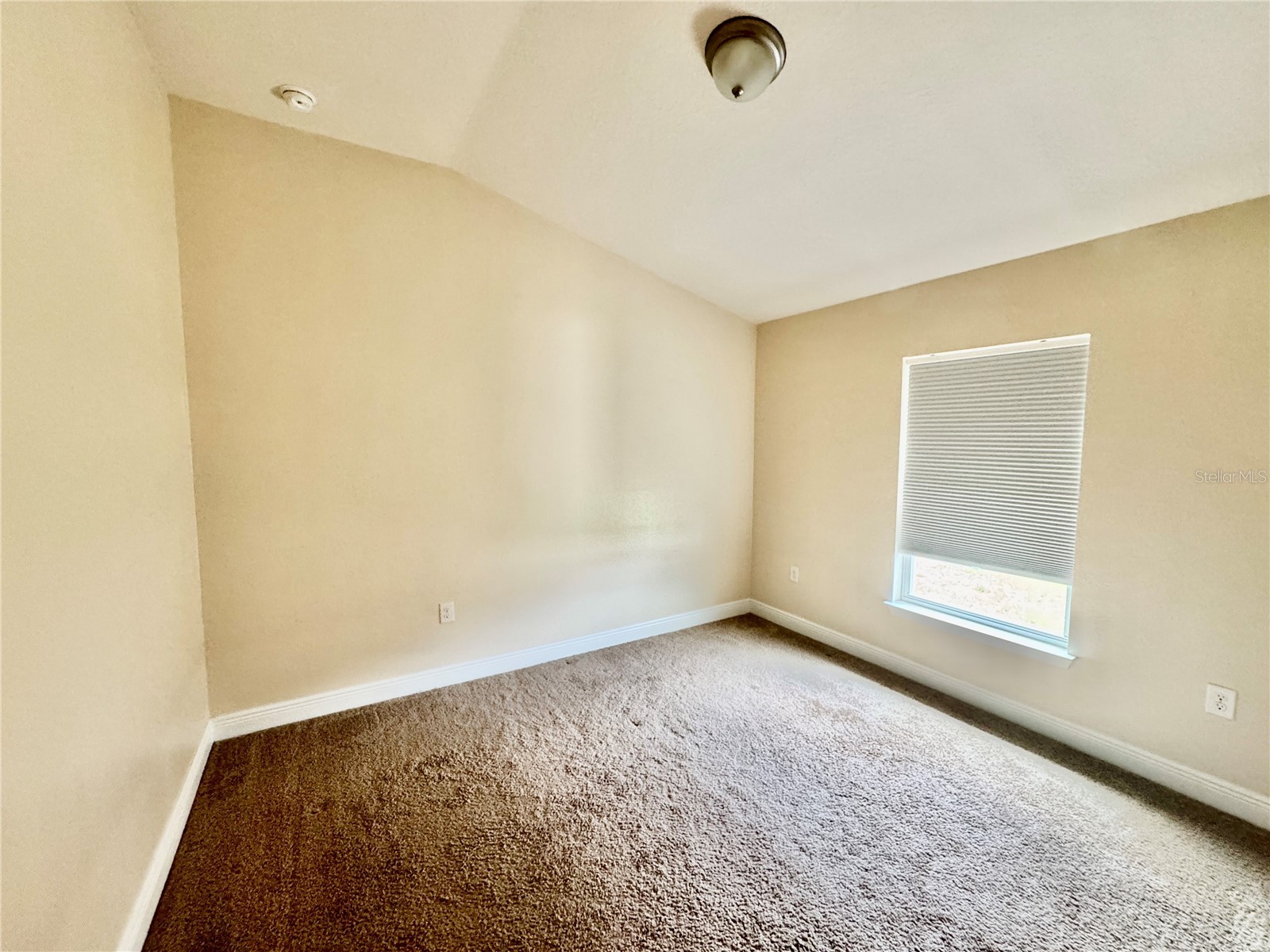 906 Chestnut Drive Fruitland Park FL 34731 G5112071 image49