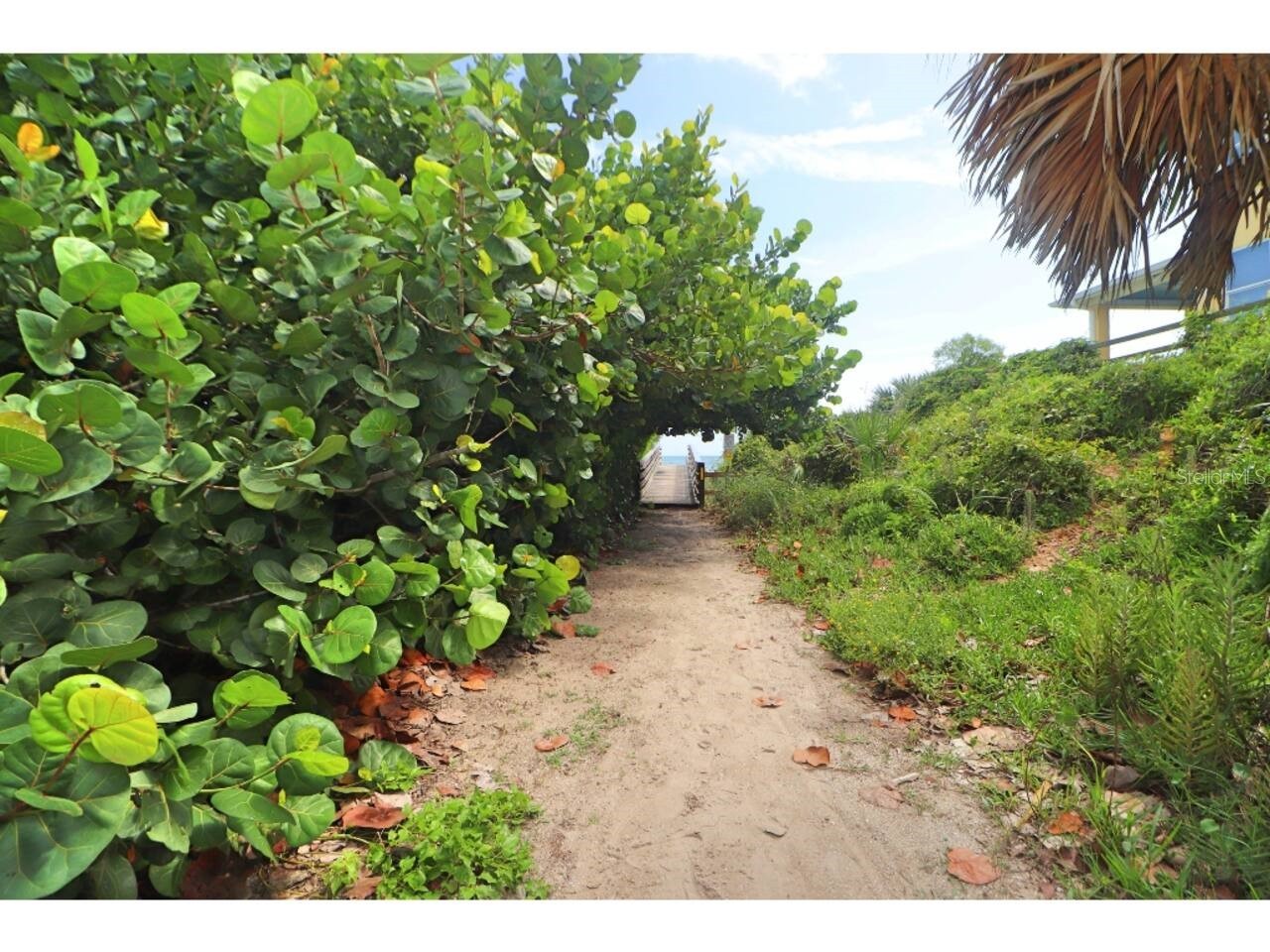 906 E 11th Avenue New Smyrna Beach FL 32169 TB8508641 image12