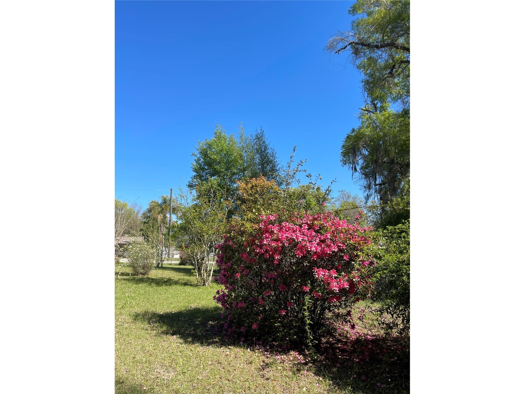 906 E Michigan Avenue Deland FL 32724 V4948061 image36