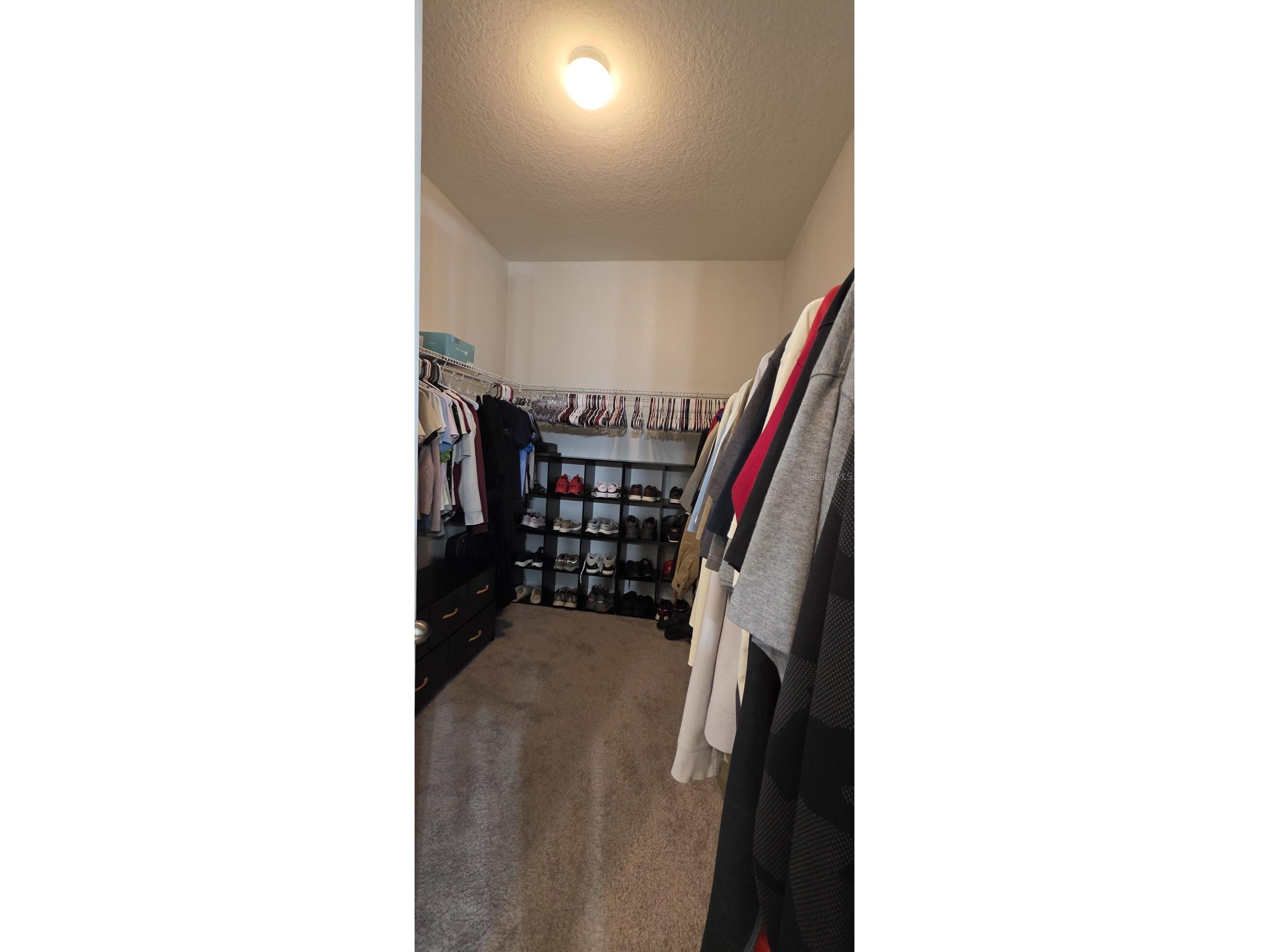 906 Fallon Hills Drive Haines City FL 33844 S5142007 image18