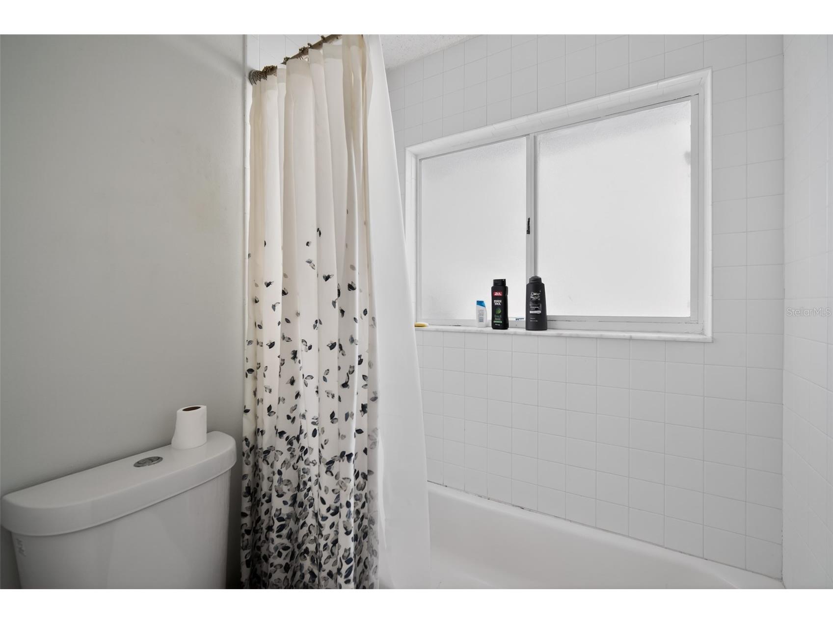 906 Lakemont Hills Boulevard Brandon FL 33510 TB8518993 image19