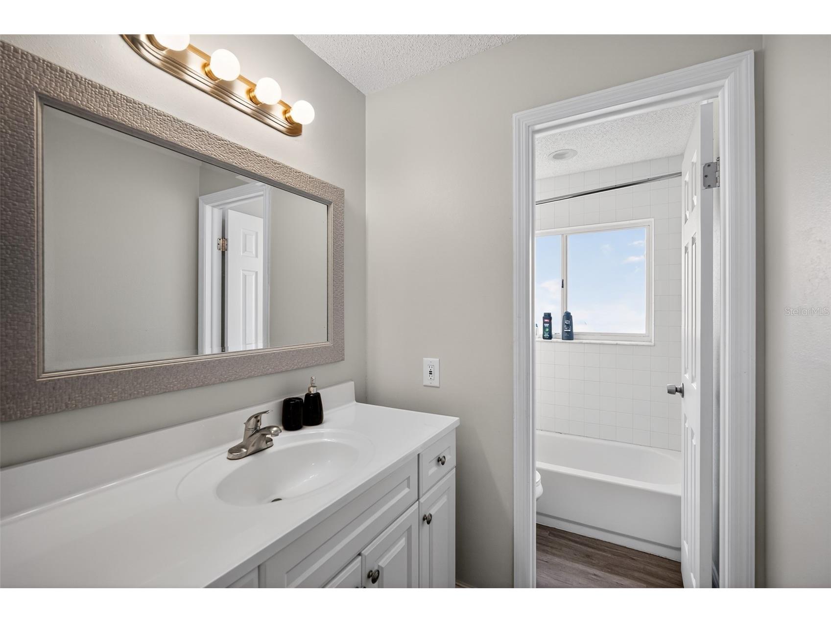906 Lakemont Hills Boulevard Brandon FL 33510 TB8518993 image20
