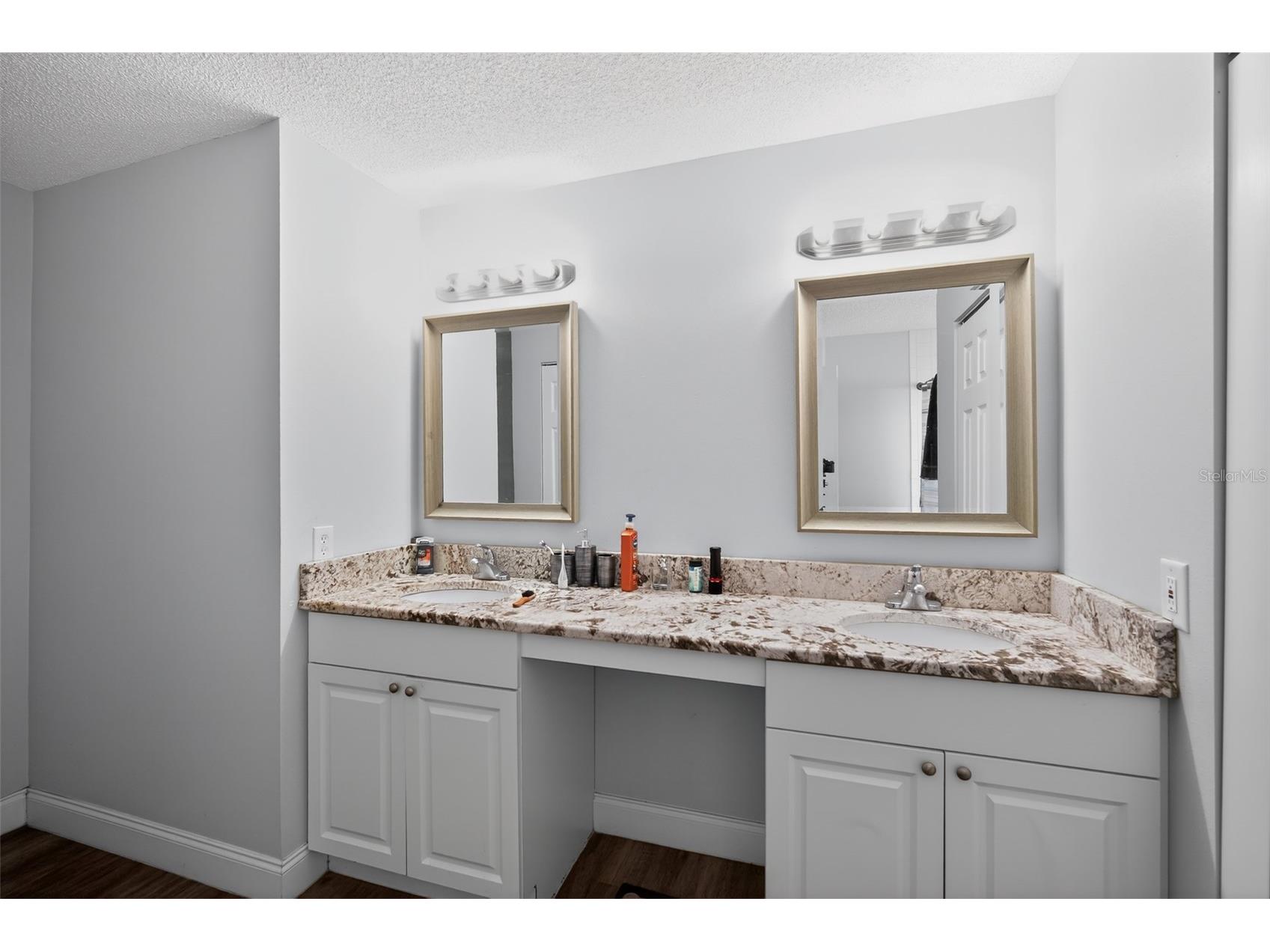 906 Lakemont Hills Boulevard Brandon FL 33510 TB8518993 image22