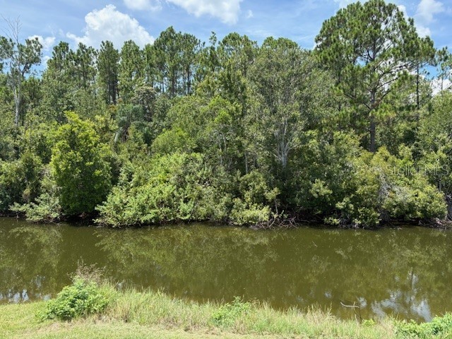 906 Montana Avenue Davenport FL 33897 O6332626 image47