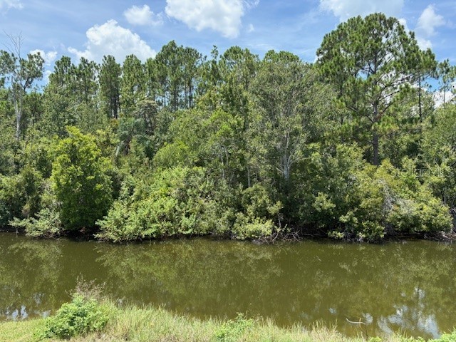 906 Montana Avenue Davenport FL 33897 O6332626 image48