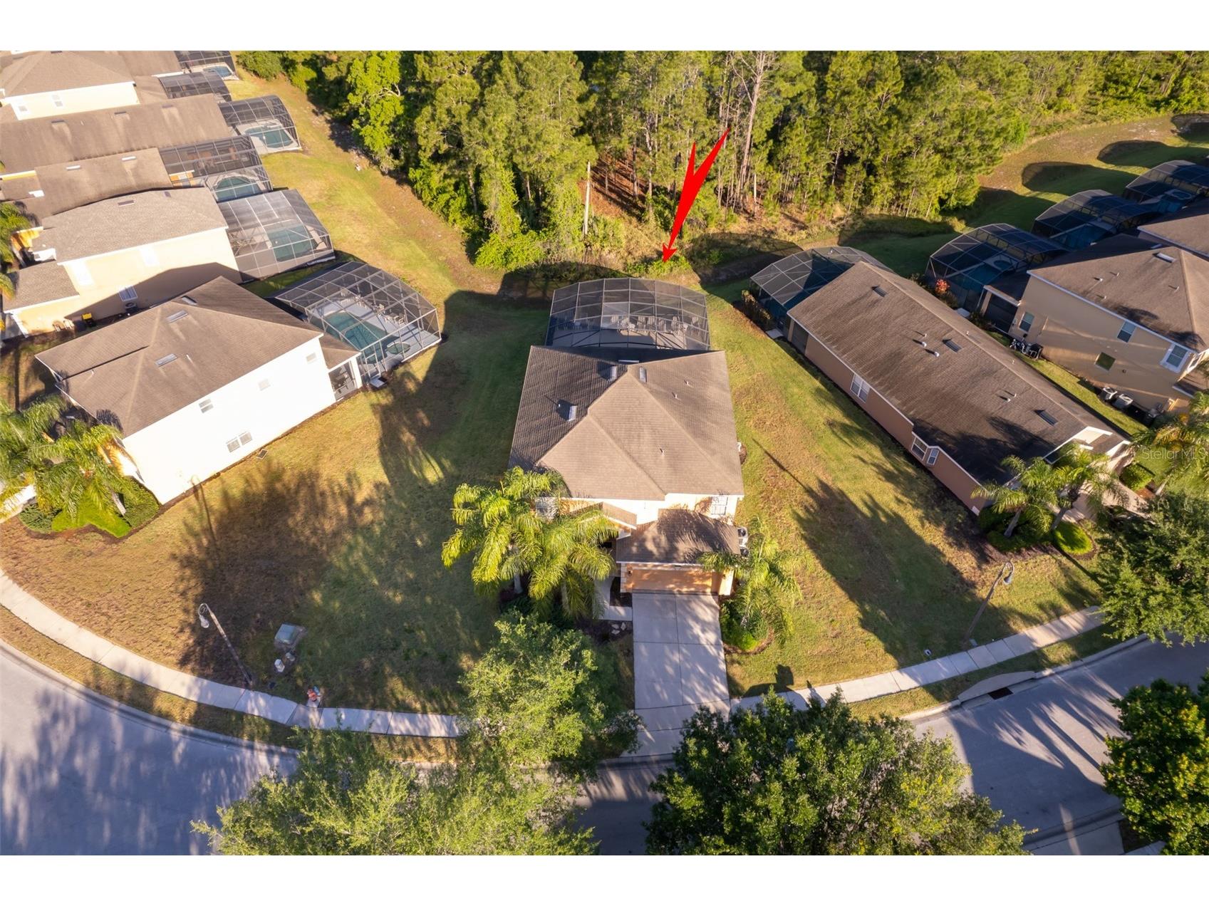 906 Orange Cosmos Boulevard Davenport FL 33837 S5145361 image3