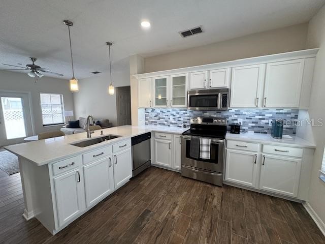 906 Pawstand Road Celebration FL 34747 S5149440 image13