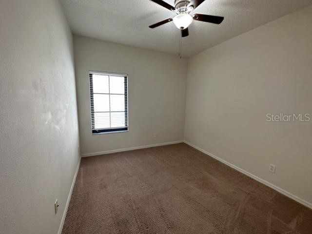 906 Pawstand Road Celebration FL 34747 S5149440 image20