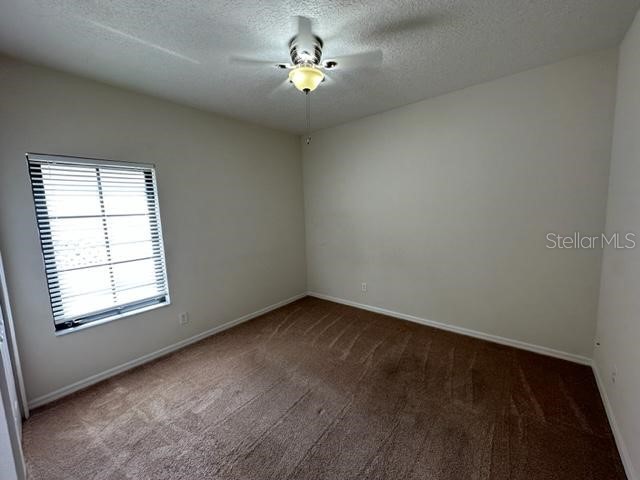 906 Pawstand Road Celebration FL 34747 S5149440 image21