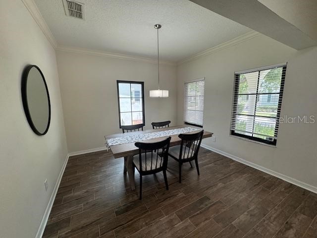 906 Pawstand Road Celebration FL 34747 S5149440 image3