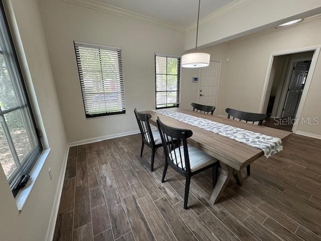 906 Pawstand Road Celebration FL 34747 S5149440 image4