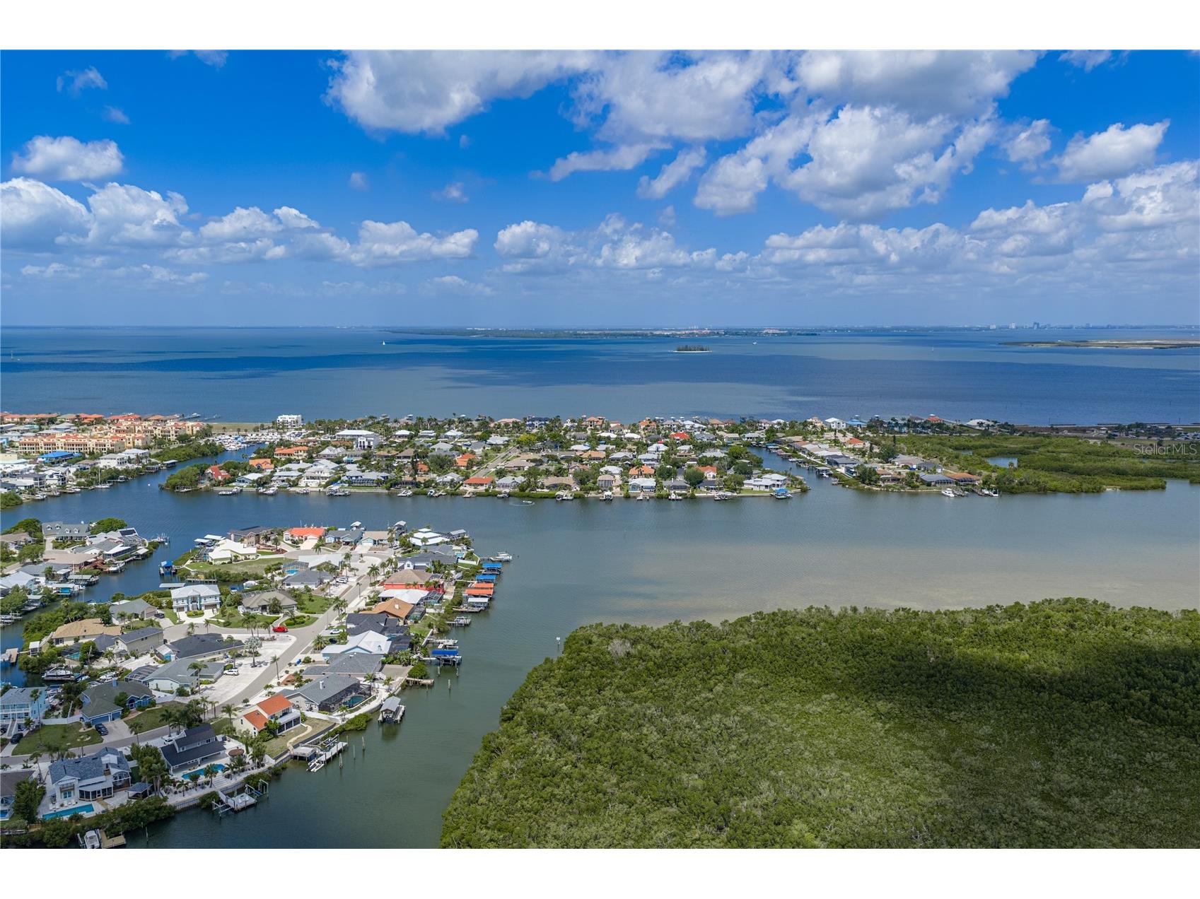 906 Sago Palm Way Apollo Beach FL 33572 TB8497725 image50